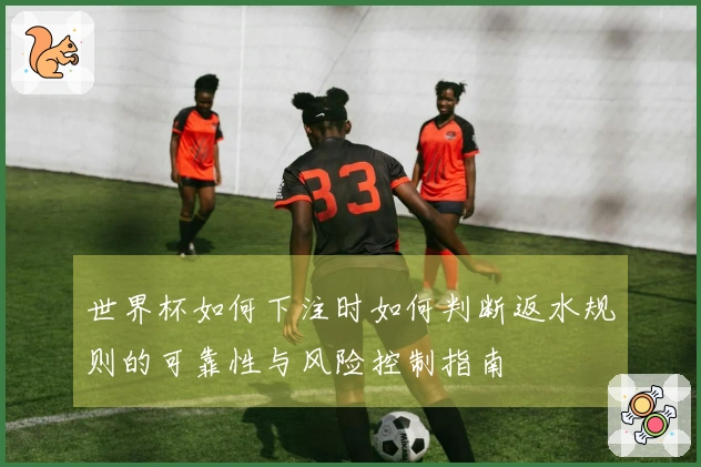 世界杯如何下注时如何判断返水规则的可靠性与风险控制指南