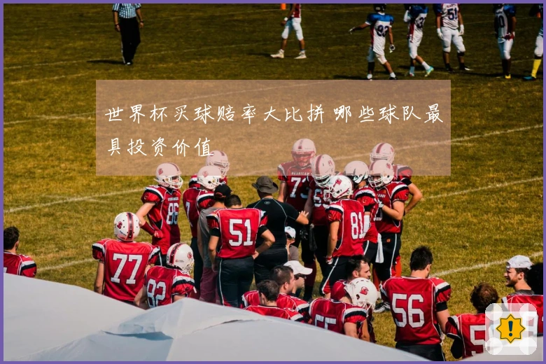 世界杯买球赔率大比拼 哪些球队最具投资价值