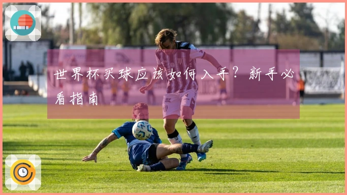 世界杯买球应该如何入手？新手必看指南