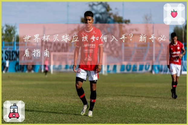 世界杯买球应该如何入手？新手必看指南