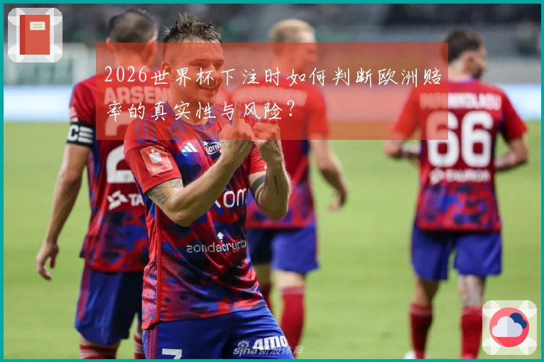 2026世界杯下注时如何判断欧洲赔率的真实性与风险？