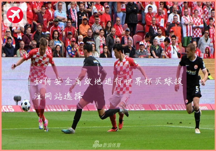 如何安全高效地进行世界杯买球投注网站选择