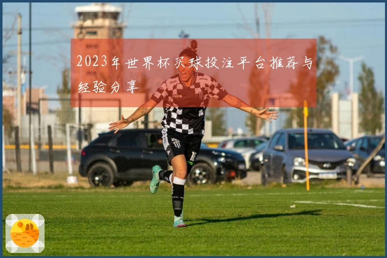 2023年世界杯买球投注平台推荐与经验分享