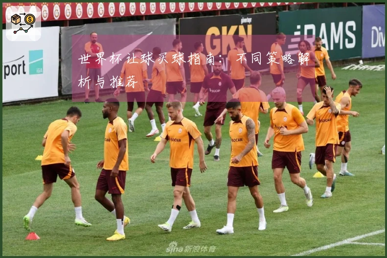 世界杯让球买球指南：不同策略解析与推荐