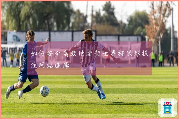 如何安全高效地进行世界杯买球投注网站选择